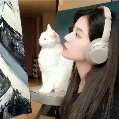 寻找爱情的下落